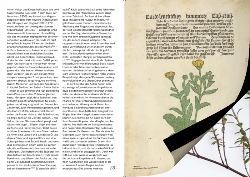 Spread: text on historical plant lore on the left, a facsimile of the &raquo;Cardo benedictus&laquo; page on the right
