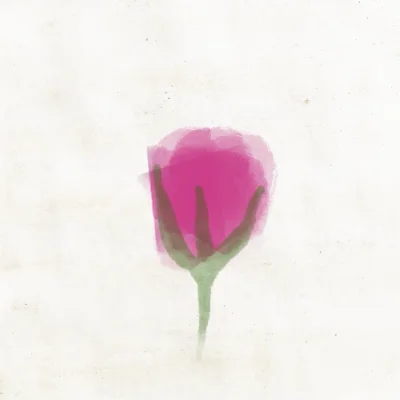Apotheker-Rose