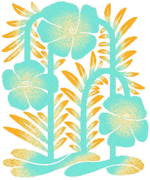 Perennial flax