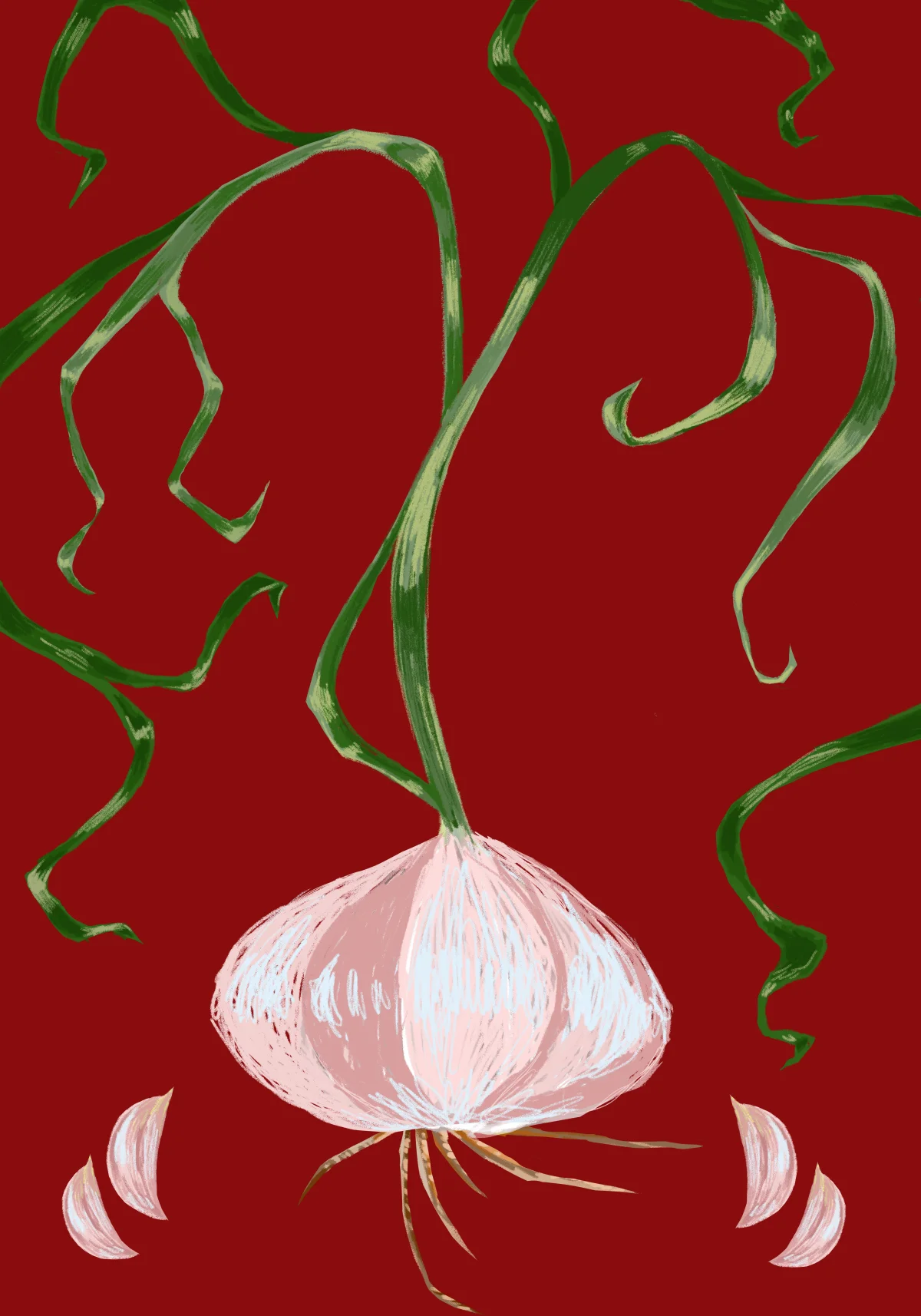 Garlic