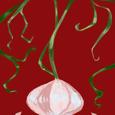 Knoblauch