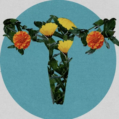 Ringelblume