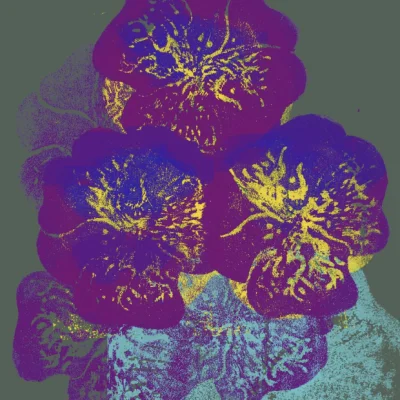 Wildes Stiefmütterchen